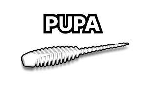 "Pupa" 1.8" GLOW